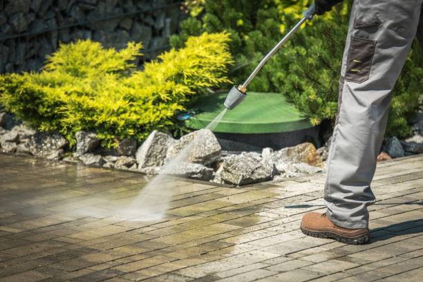 Best Gutter Cleaning  in Moose Lake, MN